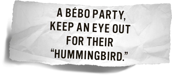 A Bébo Party, Keep An Eye Out For Their Hummingbird
